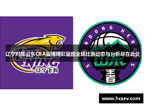辽宁对阵山东CBA直播精彩呈现全场比赛动态与分析尽在此处